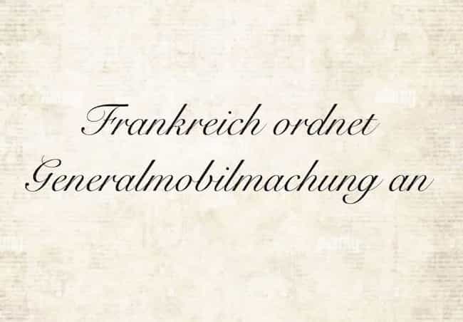 Berichte des Jahres 2025