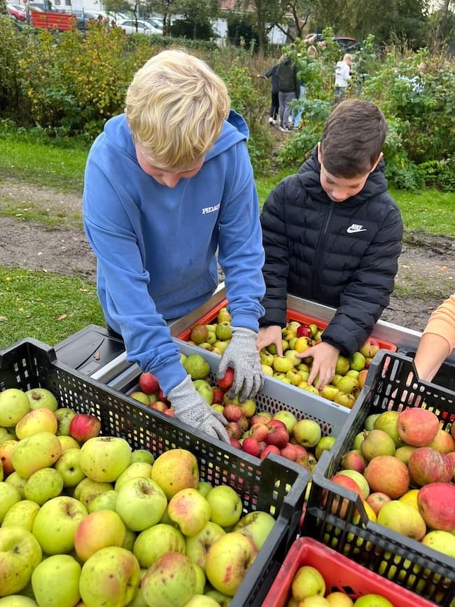 Berichte des Jahres 2025