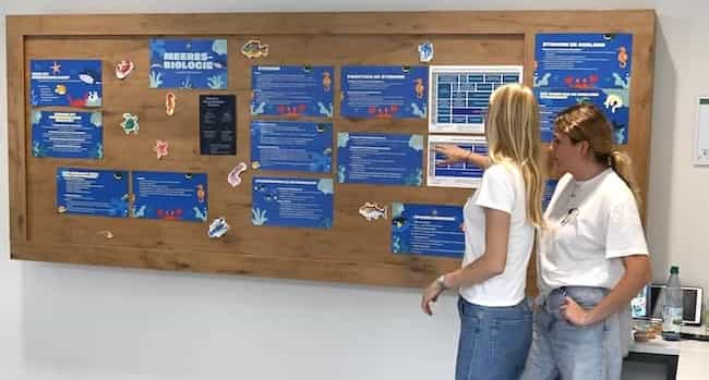 Berichte des Jahres 2025