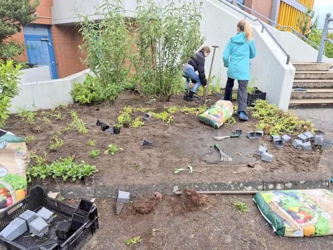 Berichte des Jahres 2025